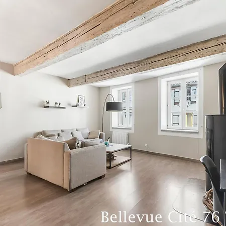 別荘 Les Bellevue Cite Trivalle, Cite 500M, Free Private Car Park On Demand, Free Public Car Park 200M, Aircon, Wifi, Cite View Terrace